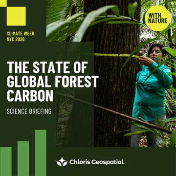 Cover Image for Science Briefing: The State of Global Forest Carbon