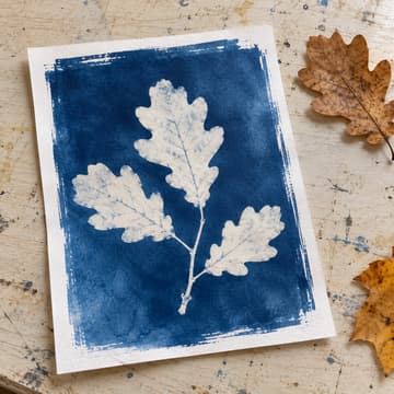 Cover Image for Fall Foliage Cyanotype Workshop with lindy & light
