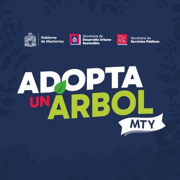 Cover Image for 19° Adopta un Árbol