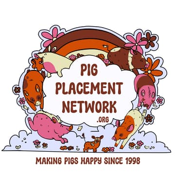 Cover Image for For Pigs' Sake
