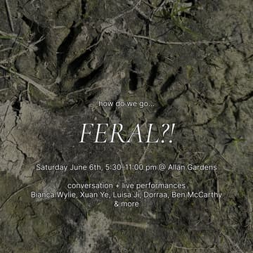 Cover Image for FERAL?!