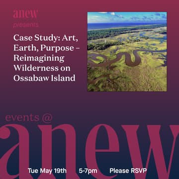 Cover Image for Case Study: Art, Earth, Purpose – Reimagining Wilderness on Ossabaw Island