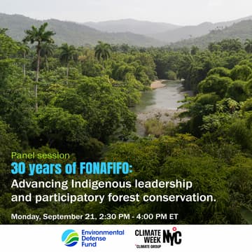 Cover Image for 30 years of FONAFIFO: Advancing Indigenous leadership and participatory forest conservation