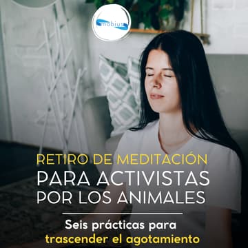 Cover Image for Retiro de meditación para activistas por los animales: Seis prácticas para trascender el agotamiento