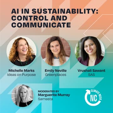 Cover Image for AI in Sustainability: Control and Communicate