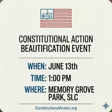 Cover Image for Constitutional Action Neighborhood Cleanup
