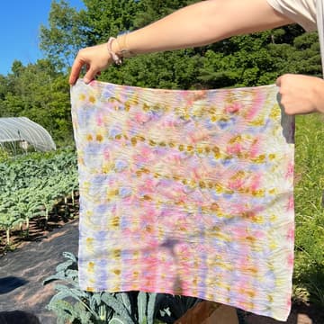 Cover Image for Natural Dye Workshop: Bundle Dye with Flowers