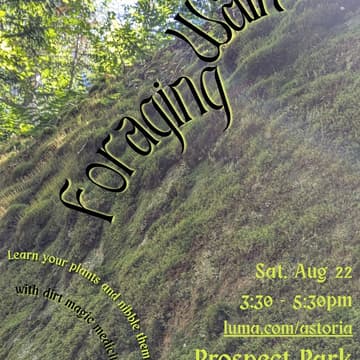 Cover Image for Summer Forest / Foraging Walk (the sequel)