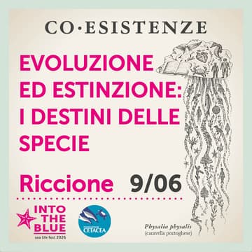 Cover Image for Evoluzione ed estinzione: i destini delle specie