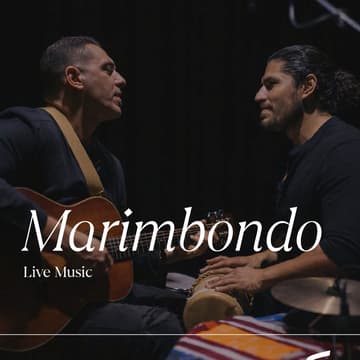 Cover Image for Tiny Concert: Marimbondo