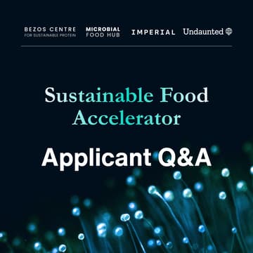 Cover Image for Sustainable Food Accelerator: Application Q&A