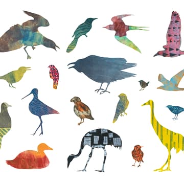Cover Image for Flock: Early Birding and Tree Walk at Wright Park