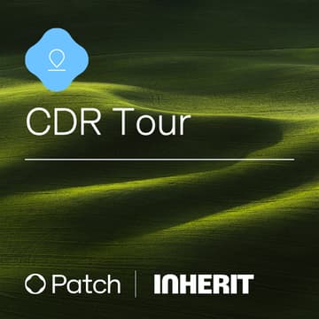 Cover Image for From capture to storage: Patch’s Norway buyer tour