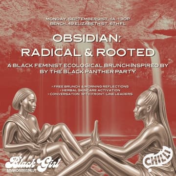 Cover Image for Obsidian Radical and Rooted