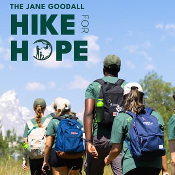 Cover Image for Hike for Hope at Shipley Nature Center
