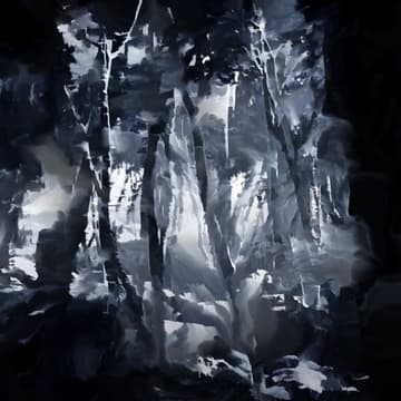 Cover Image for Heft TRANSMISSION Session: Liminal Grove by Luke Mombrea & Nate Mohler