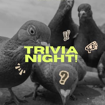 Cover Image for Use Your Bird Brain: Girl's Night Trivia!