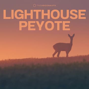 Cover Image for The Lighthouse Peyote Retreat