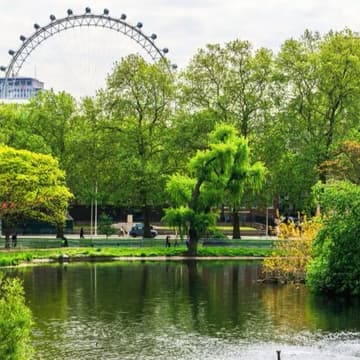 Cover Image for 🌳Offline Women Explore the Royal Parks: St. James's Park