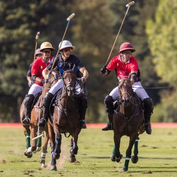 Cover Image for Watch Tournament: World Championship Qualifiers at Chantilly Polo Club