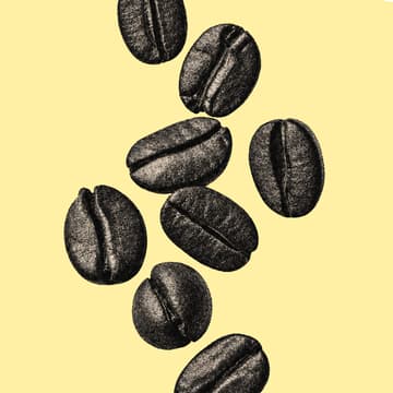 Cover Image for Good Grace's Cafe Soft-Launch