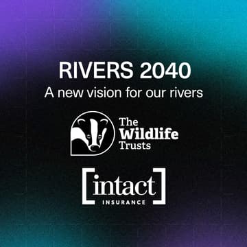 Cover Image for Rivers 2040 Launch: Film Premiere & Panel Discussion