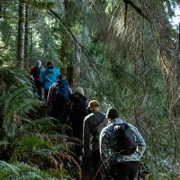 Cover Image for nile creek (west trail)