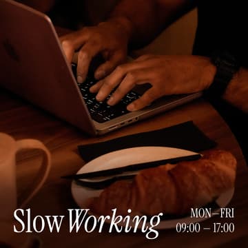 Cover Image for SLOW-WORKING