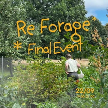 Cover Image for Reforage: Stories, Drinks & Regenerative Ideas 🌿