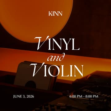 Cover Image for Vinyl And Violin