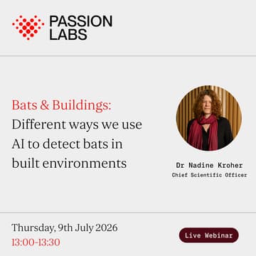 Cover Image for Bats & Buildings: Different ways we use AI to detect bats in built environments