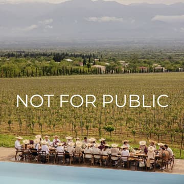Cover Image for Wine Tasting by Not For Public