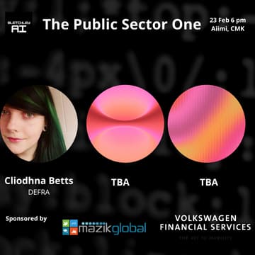 Cover Image for The Public Sector One