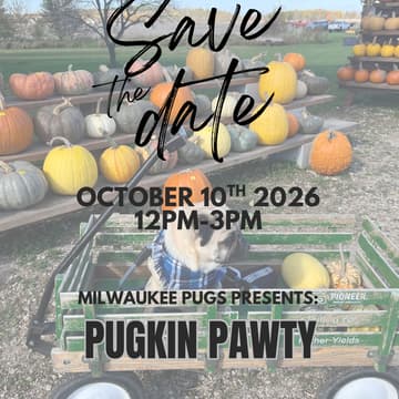 Cover Image for Milwaukee Pugs Presents: Pugkin Pawty