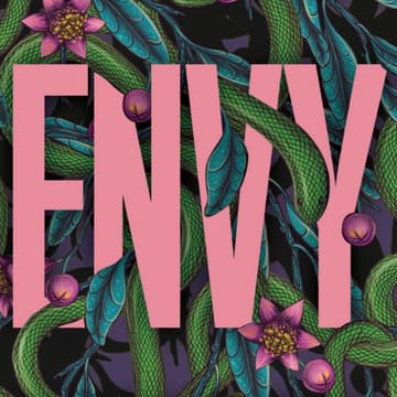 Cover Image for The Envy Book Launch