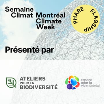 Cover Image for La parole aux jeunes : quelles priorités pour l'environnement?