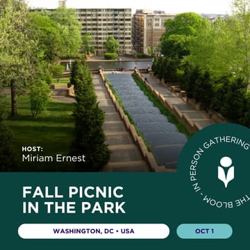 Cover Image for Washington DC, USA • Connect & Reset: Fall Picnic in Park