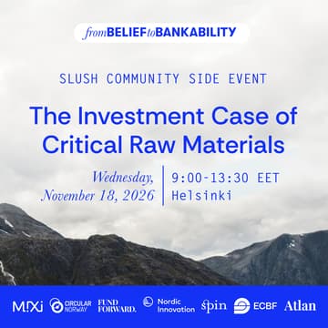 Cover Image for The Investment Case of Critical Raw Materials
