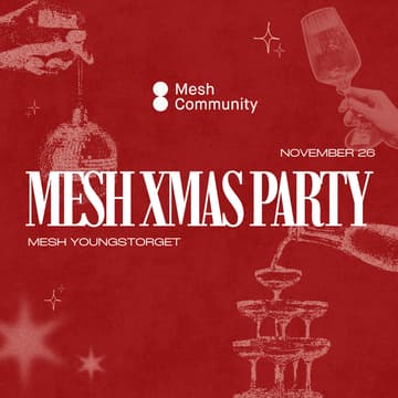 Cover Image for Mesh Xmas Party 🪩✨