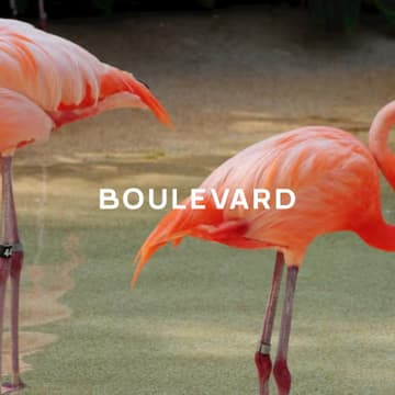 Cover Image for Boulevard Presents: Lumina Miami