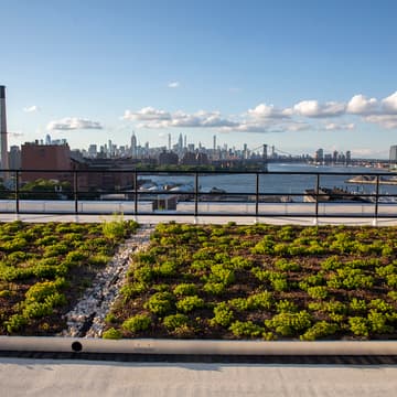 Cover Image for Site Visit | NYC DEP / Brooklyn Navy Yard