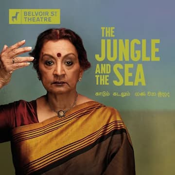 Cover Image for SAARI at Jungle & The Sea
