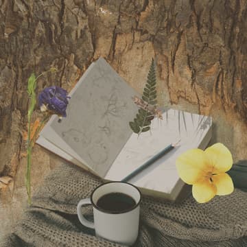 Cover Image for Sit & Sketch - Offline in Nature