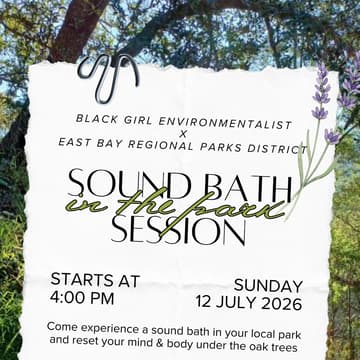 Sound Bath in the Park