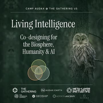 Cover Image for Living Intelligence: Co-designing for the Biosphere, Humanity & AI