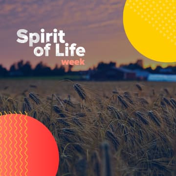 Cover Image for Spirits: our Role in Helping Sustain Europe’s Agriculture and Agri-food Sector