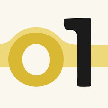 Cover Image for o1 bridge