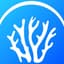 Avatar for Innoceana