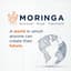 Avatar for Moringa Connect