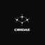 Avatar for Ciridae